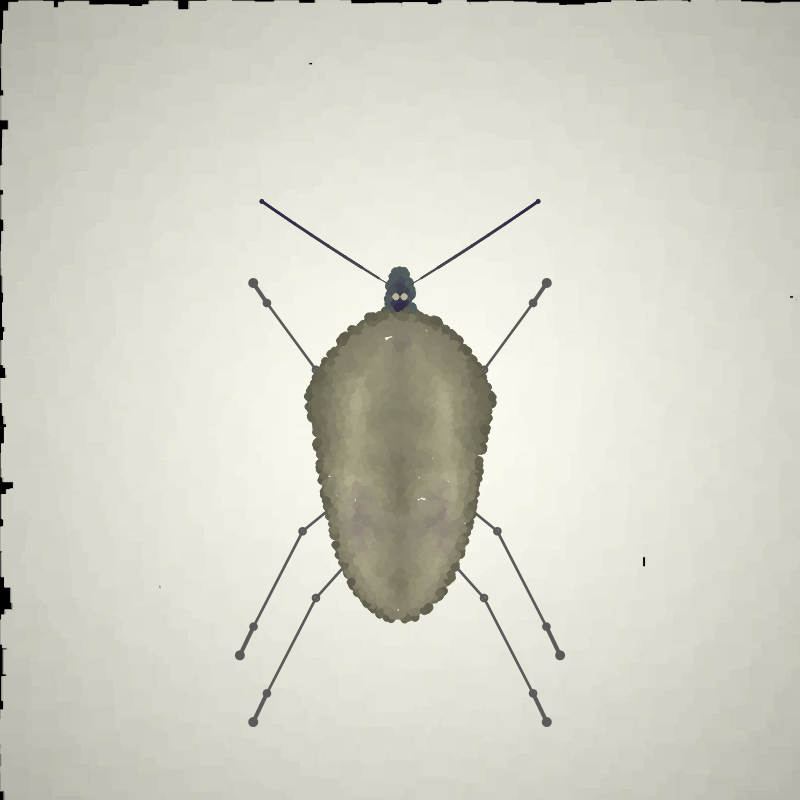Beetle Sketches #6 static token preview