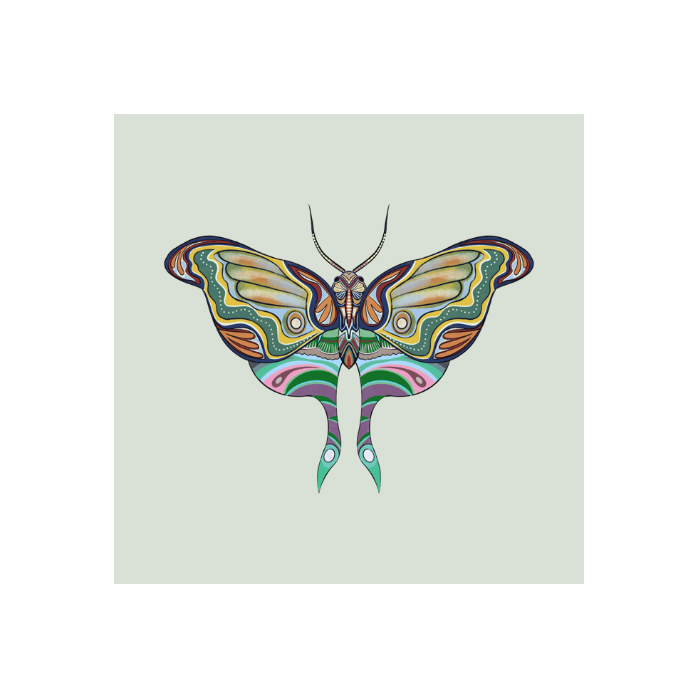 The Moth Experiment #24 static token preview