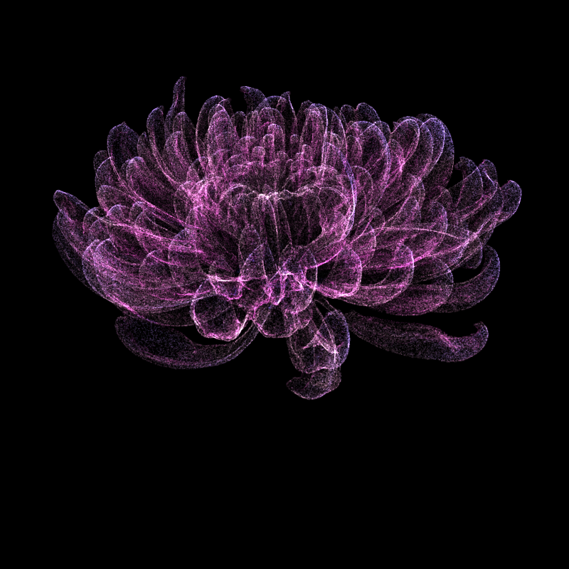 Chrysanthemum Morifolium 30 #6 static token preview