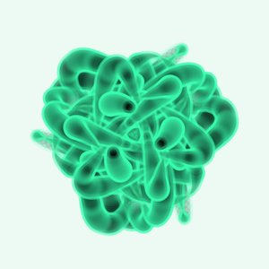 Math Flower project preview
