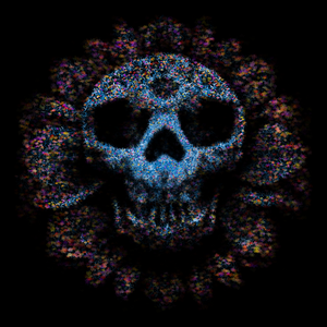 Skull project preview