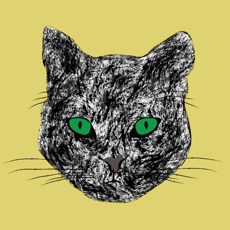 Kitten #13 static token preview
