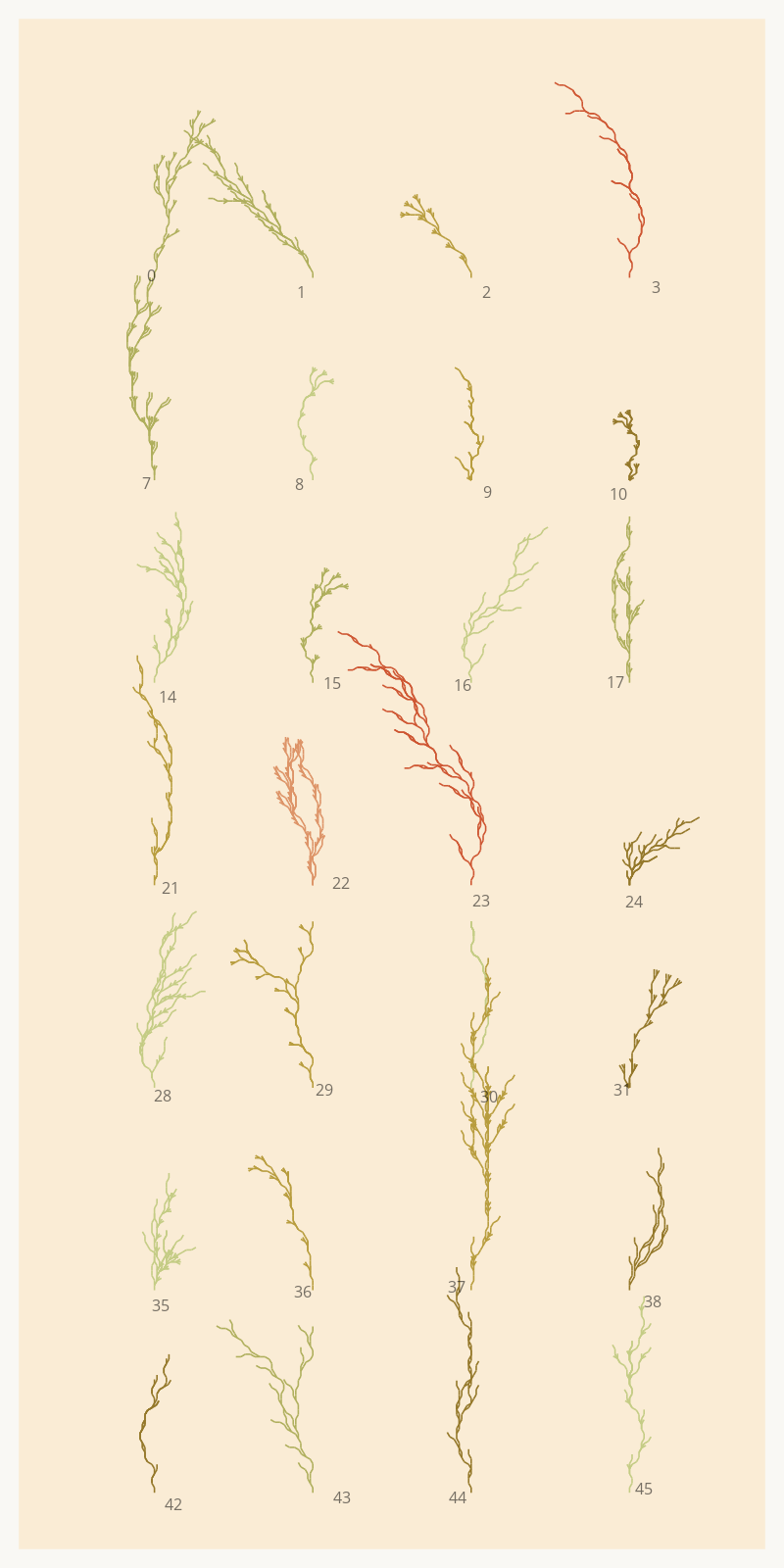 Seaweed Study #5 static token preview