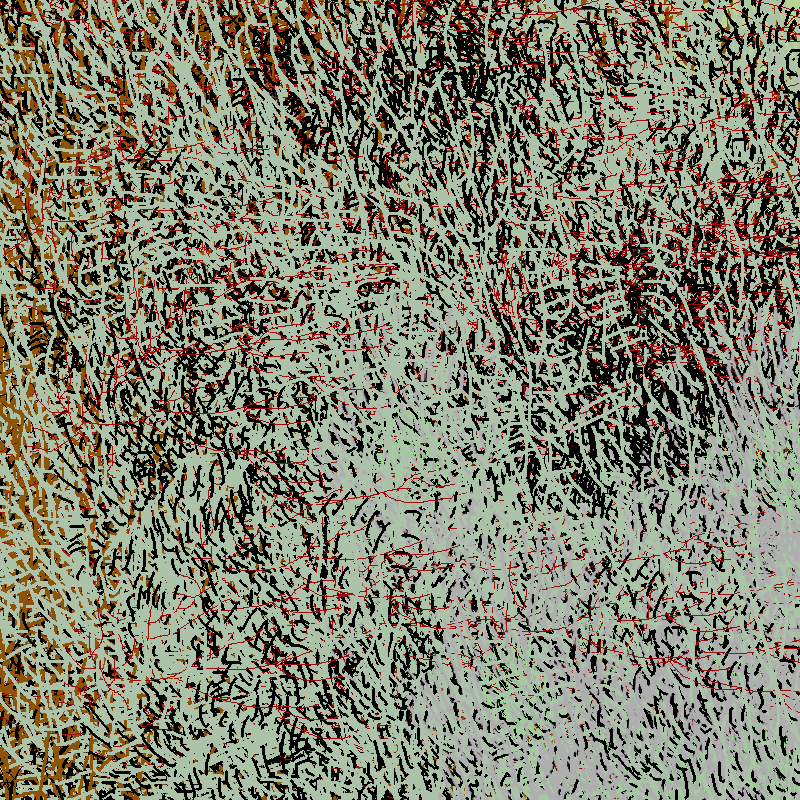 a bird worked on my painting #13 static token preview