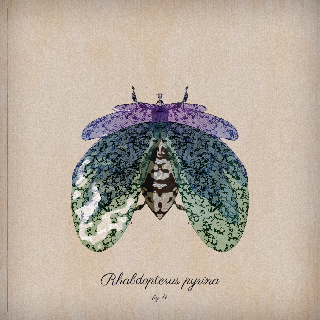 ProcGen Entomology #2 static token preview