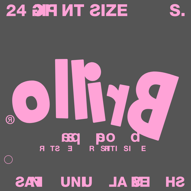 Brillo Recall #12 static token preview