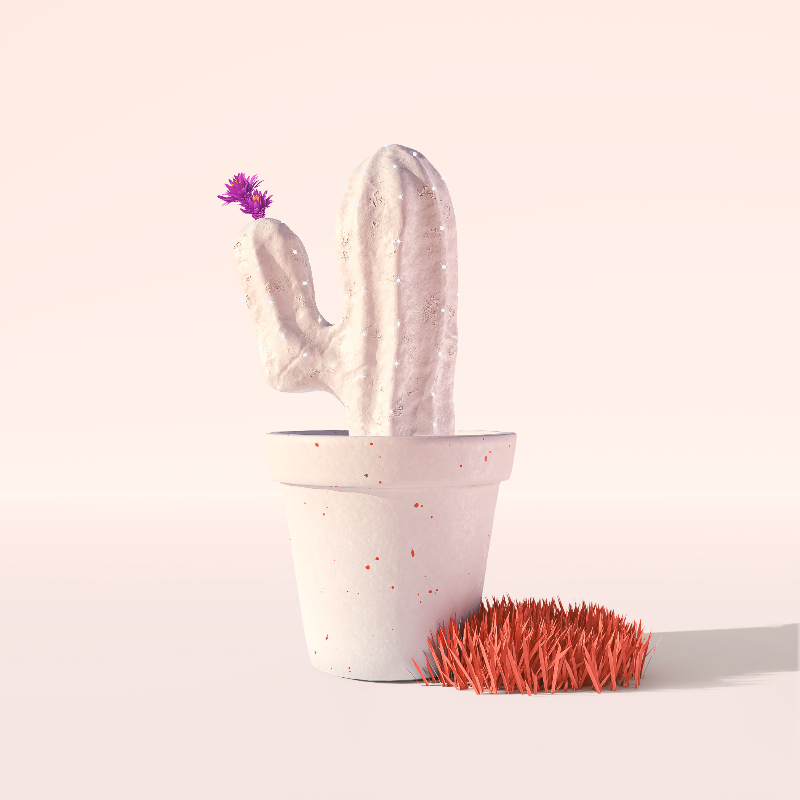 3D Crypto Cacti #16 static token preview