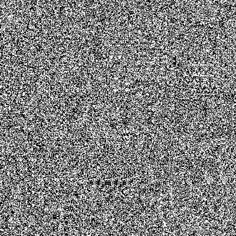 no noise #1 #6 static token preview