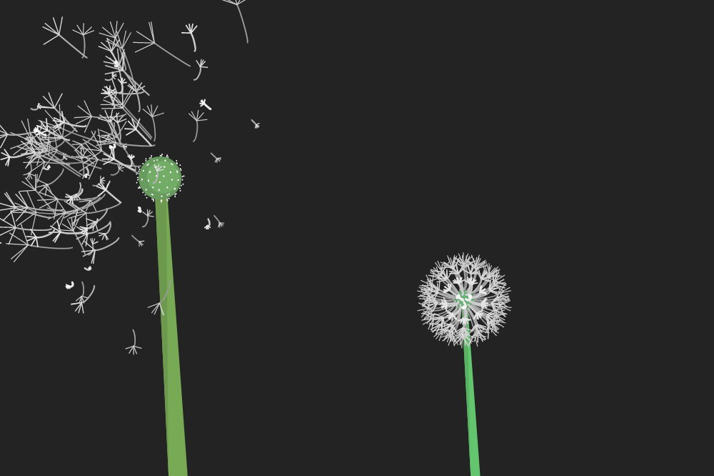 Interactive Seeds #6 static token preview