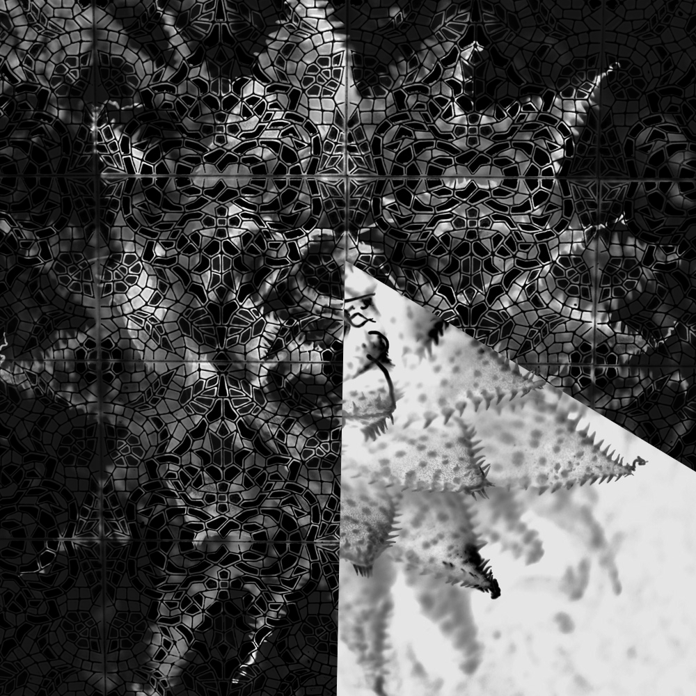 Subjective photography #1 #17 static token preview