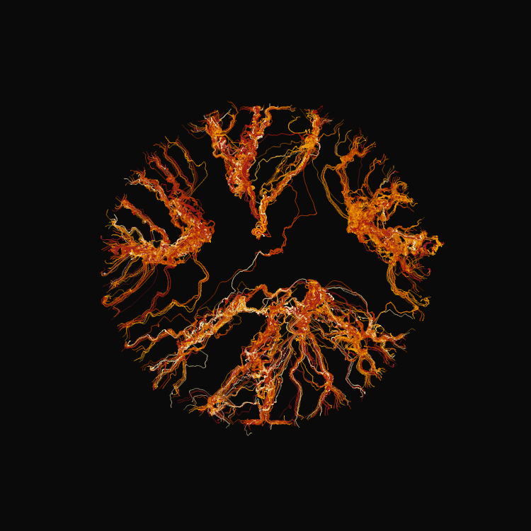 Ginseng #20 static token preview