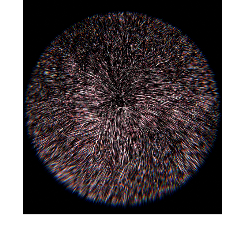 28.2000° N, 83.9755° E #23 static token preview