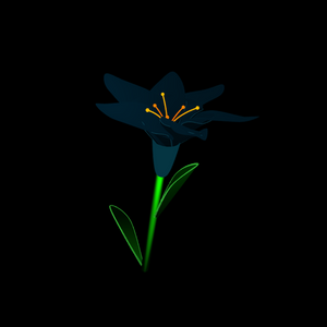 lily project preview