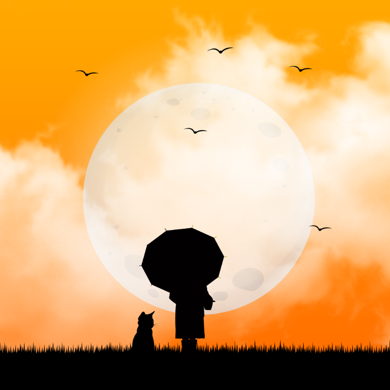 We Care...Cat #19 static token preview