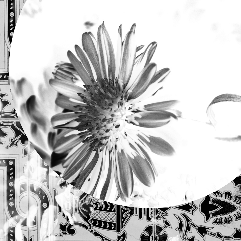 Subjective photography #1 #5 static token preview