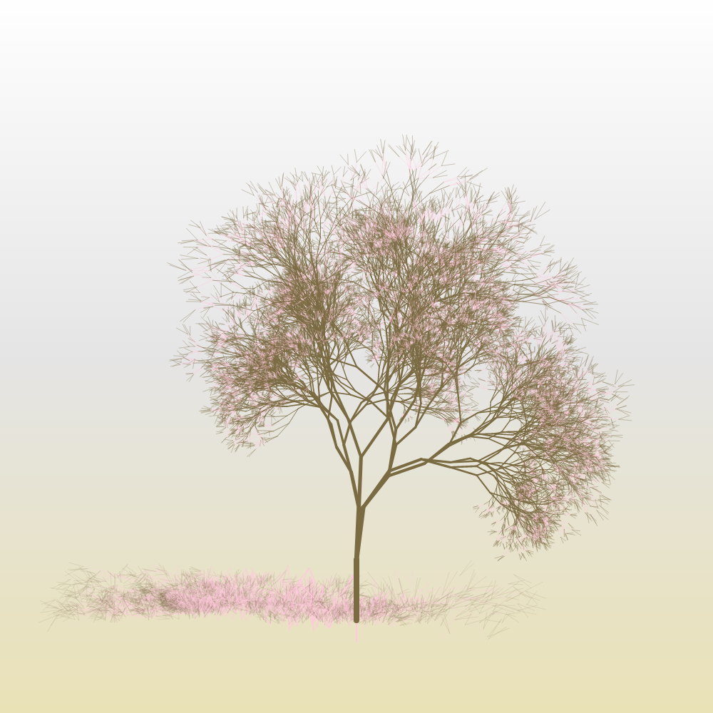 Hanami #15 static token preview
