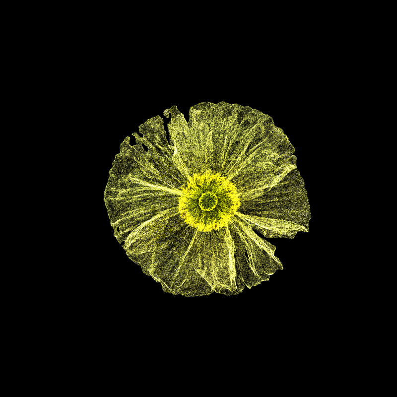 White Poppy 30 #75 static token preview