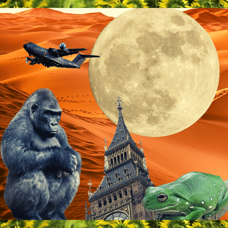 Banana & Pepe on mysterious trips #19 static token preview