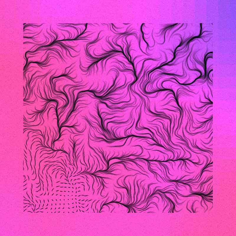 FLUX #14 static token preview