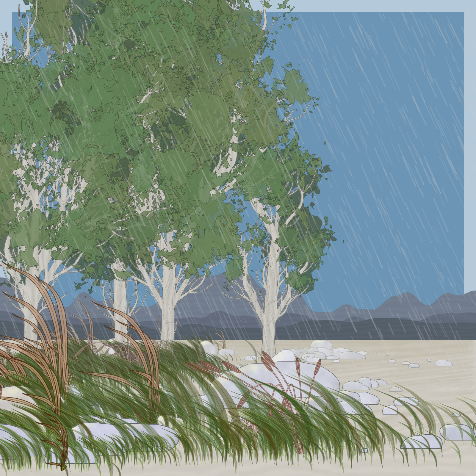 Rain Ritual #25 static token preview