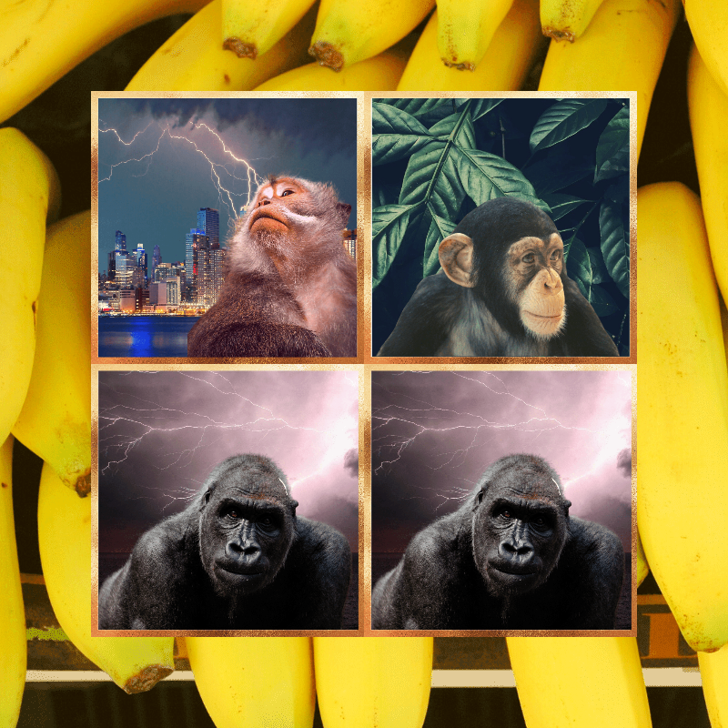 Banana legends #24 static token preview