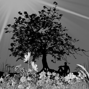 FXBWColor Garden project preview