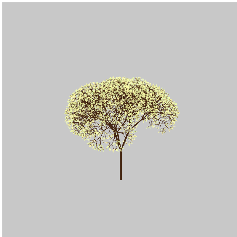 CandyTree #6 static token preview