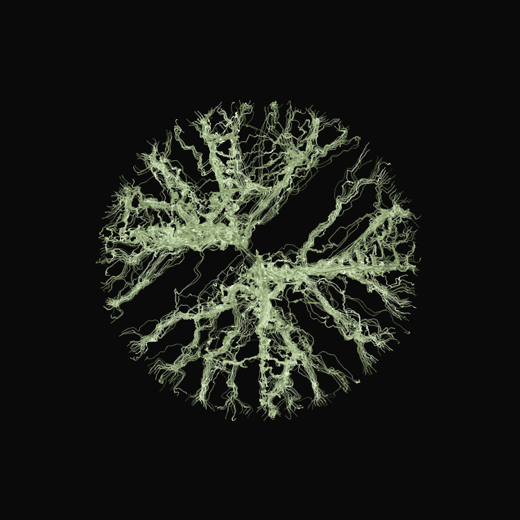 Ginseng #19 static token preview