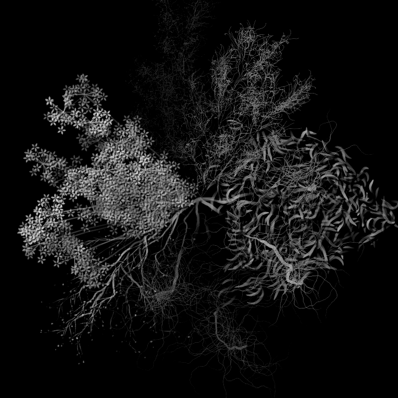 Botanical Ghosts #21 static token preview