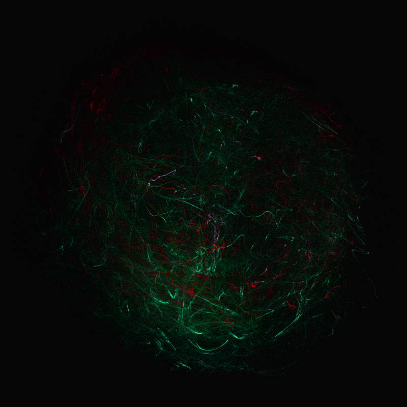 balls in vector fields #6 static token preview