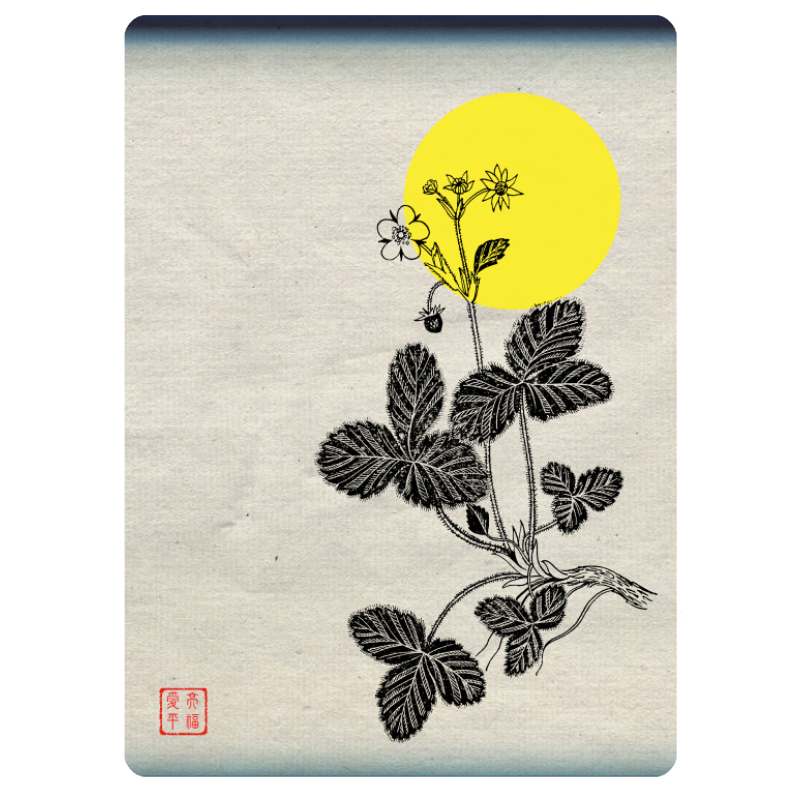 Zen flower card #12 static token preview