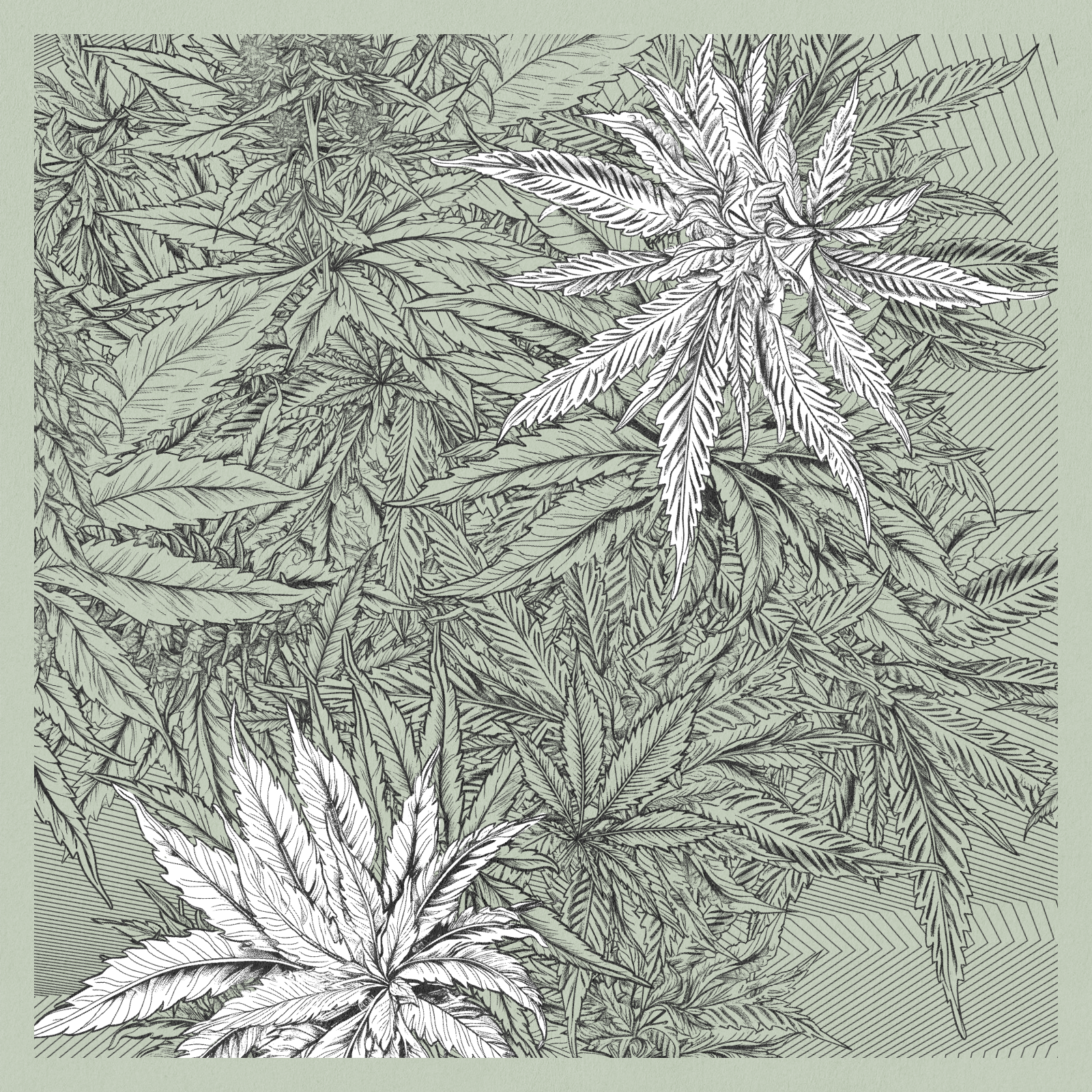 zancannabis #3 static token preview