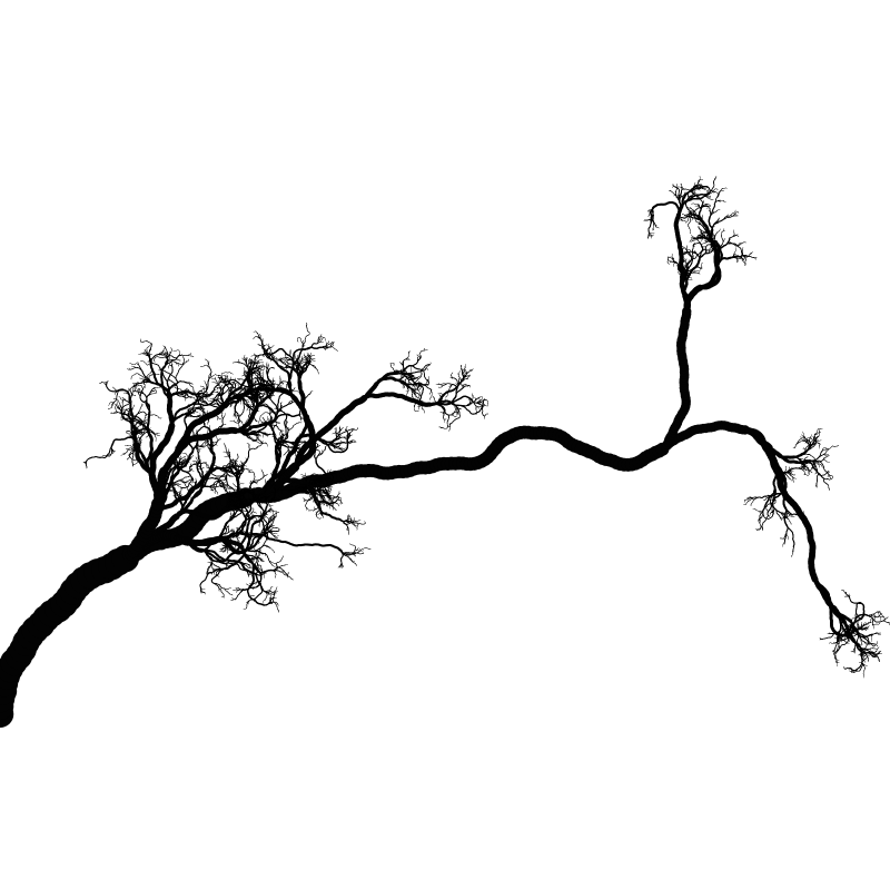 Tree 01 #6 static token preview