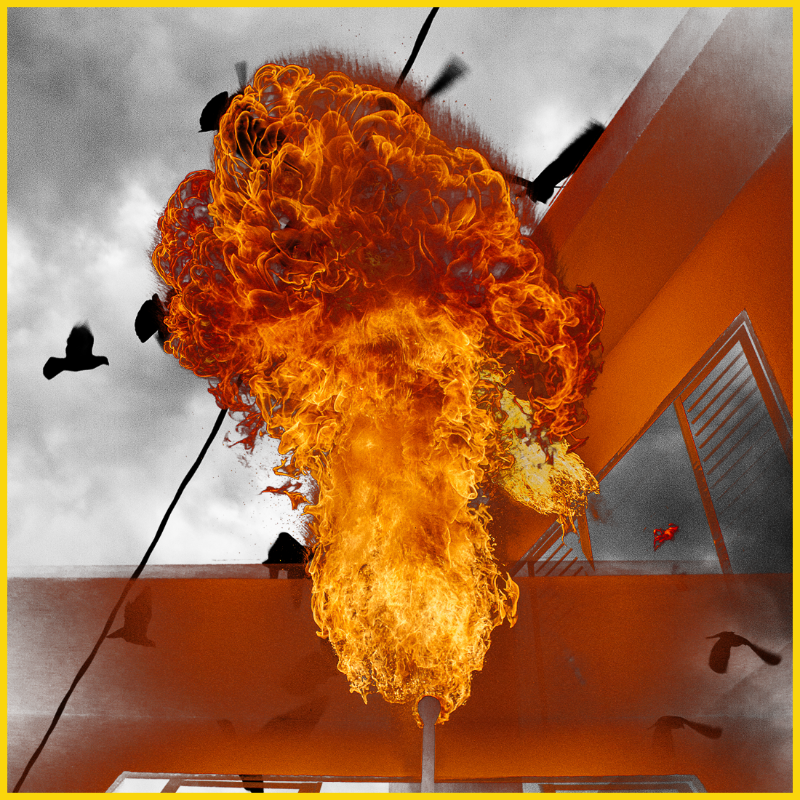 Free to burn #24 static token preview