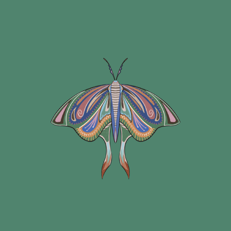 The Moth Experiment 2.0 P1 #17 static token preview