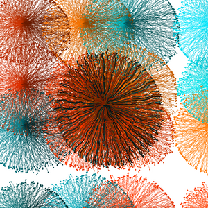 CircuWeb project preview