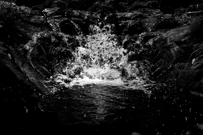 chasing waterfalls #1 static token preview