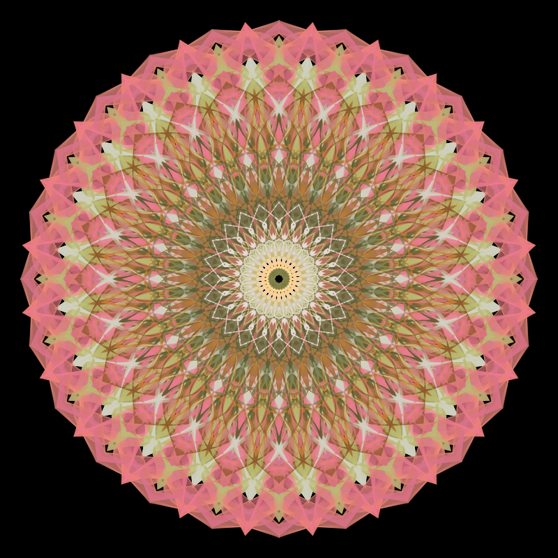 Morphing Mandala - #fxhashturnsone charity #19 static token preview