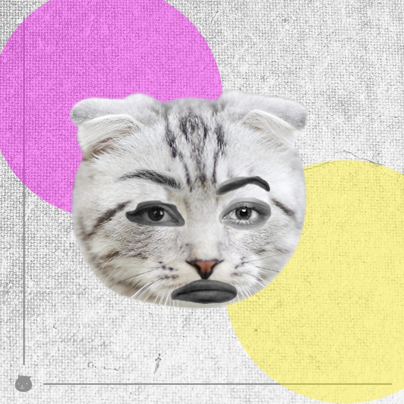 Kittenstein #21 static token preview