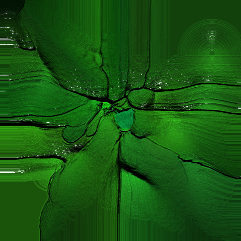 Feedback Paint Brush #22 static token preview