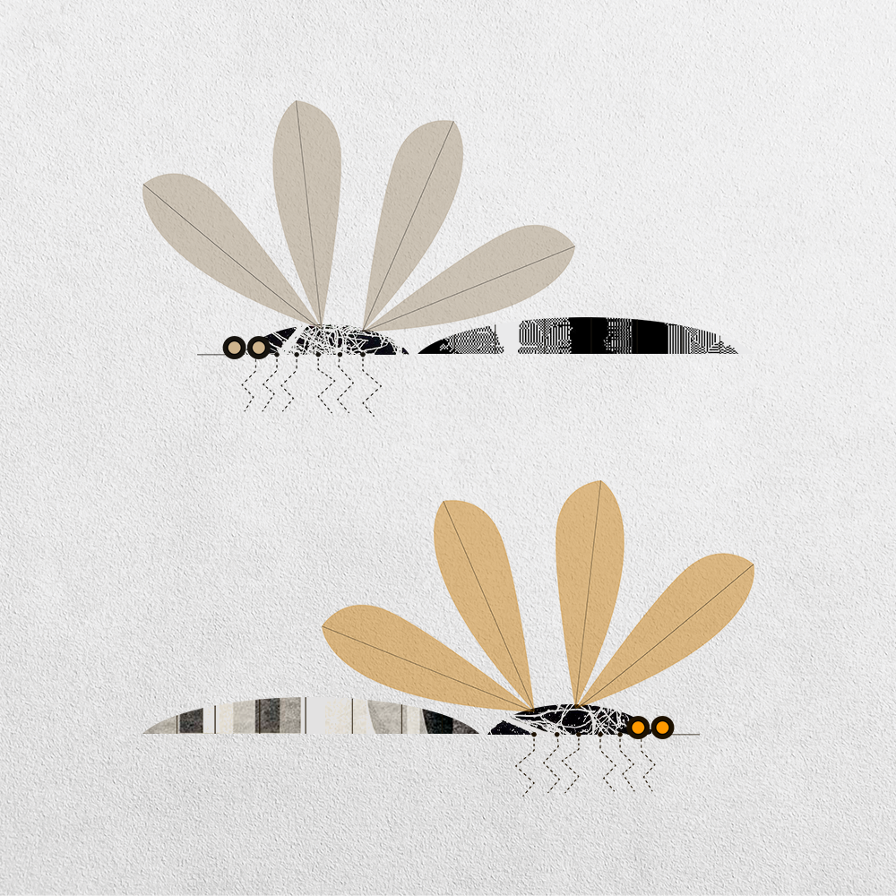 Mosquito Abstraction #15 static token preview