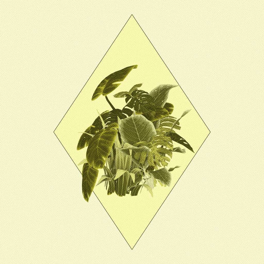 Botany #5 static token preview