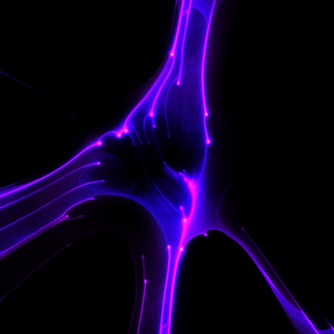 Wavelength persistence project preview