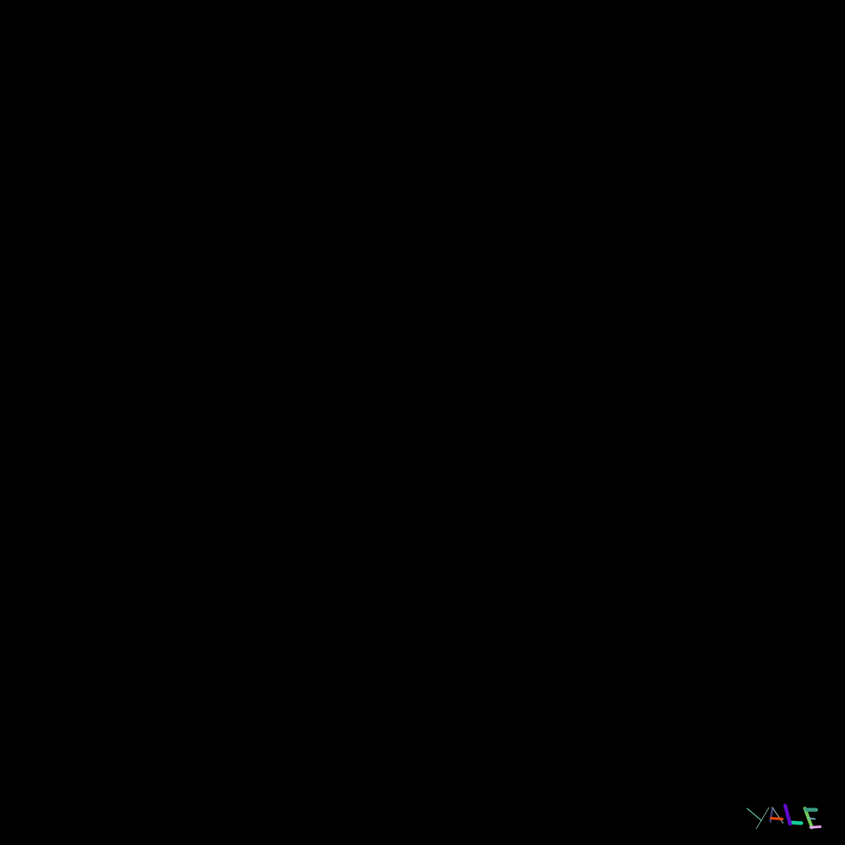 Black #5 static token preview