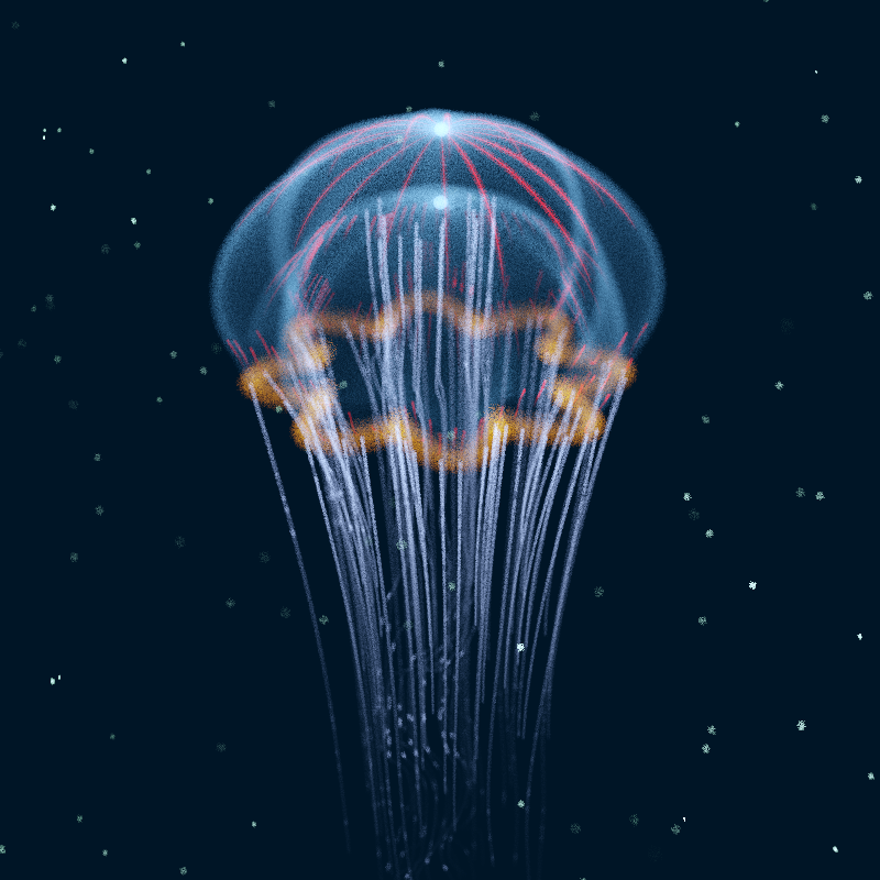 Creatures of the Deep #1 - The Jellyfish #1 static token preview