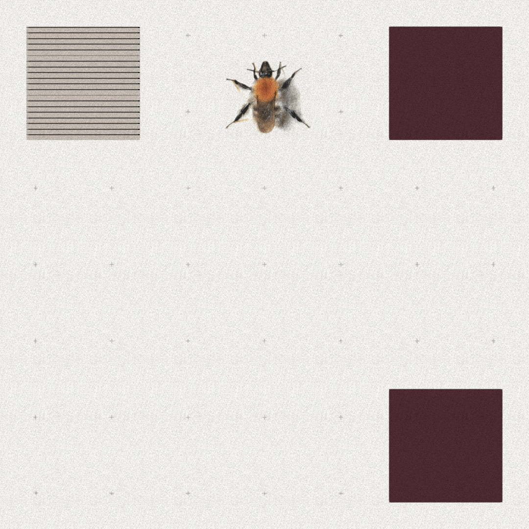Bee #26 static token preview