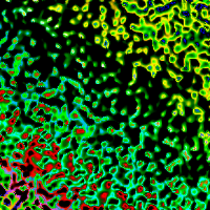 Micro Larva project preview