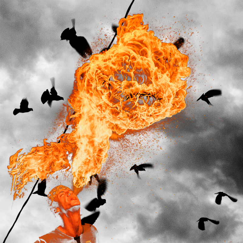 Free to burn #20 static token preview
