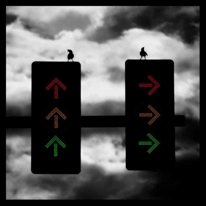 Which way? static project preview
