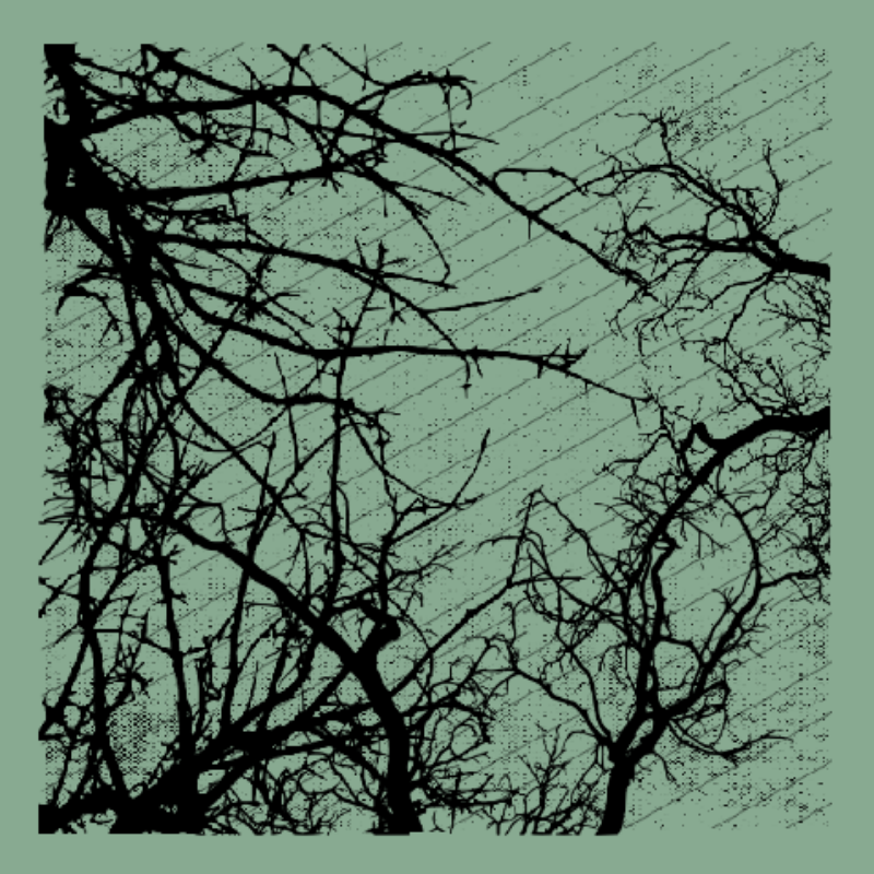 Forest of Shadows #23 static token preview